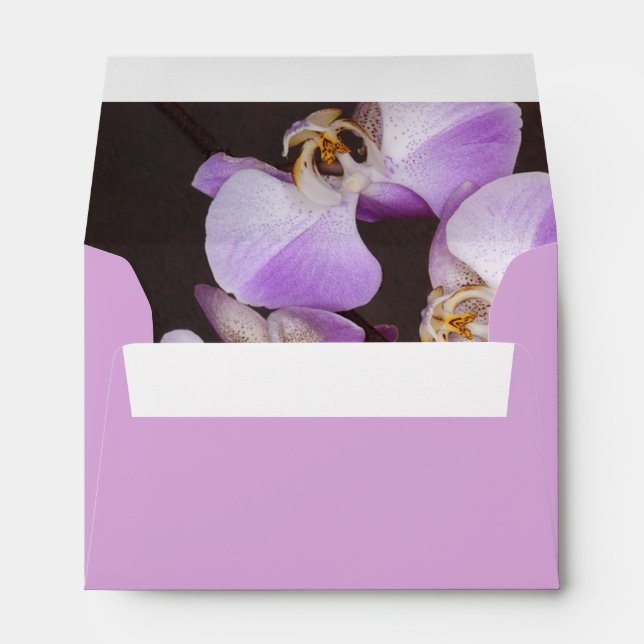 Enveloppe Violet et Orchidée blanche - photo de près (Dos (Bas))