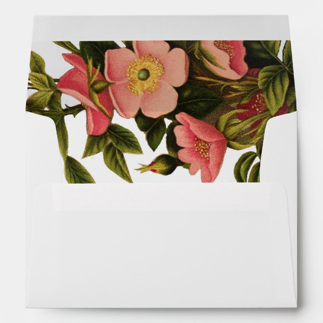 Enveloppes Belle Botanique rose Rose vintage (Dos (Bas))