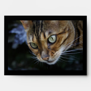 Enveloppes Bengale magnifique chat