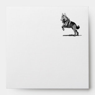 Enveloppes Berger allemand