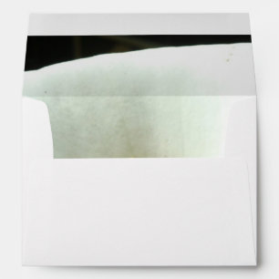 Enveloppes Calla Lily en noir