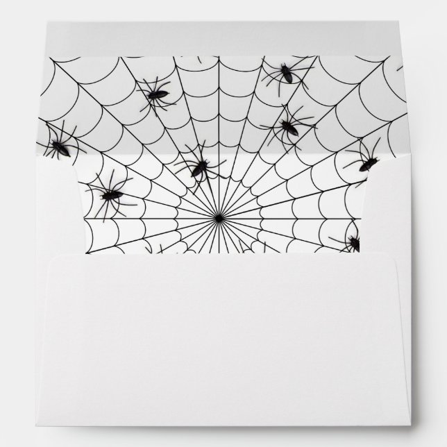 Enveloppes Carte de voeux A7/Araignées et araignées Web (Dos (Bas))