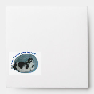 Enveloppes Cat humour