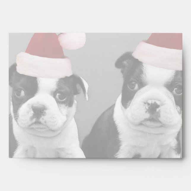 Enveloppes Chiots de Noël de Boston Terrier (Devant)
