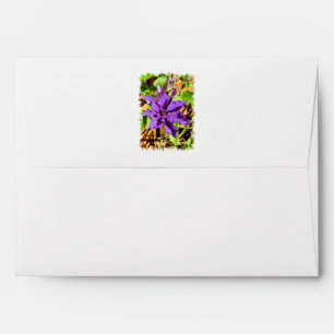 ENVELOPPES CLEMATIS