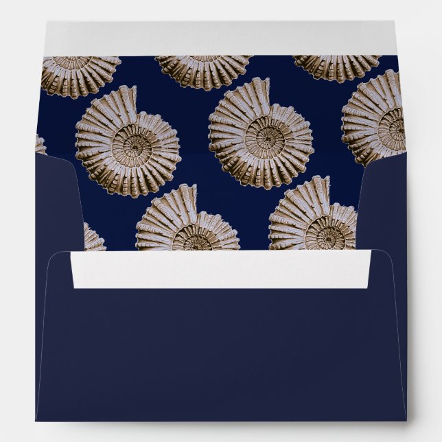 Enveloppes Coquillages spiraux et bleu marine (Dos (Bas))