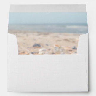 Enveloppes Coquillages sur l'enveloppe des cartes de voeux de