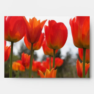 Enveloppes De Belles Fleurs De Tulipes Rouges.