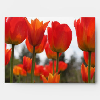 Enveloppes De Belles Fleurs De Tulipes Rouges.