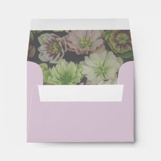 Enveloppes de carte de clôture de Hellebore de