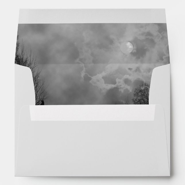 Enveloppes de Pleine lune Sky Haunted (Dos (Bas))