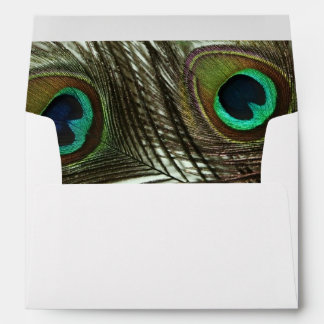 Enveloppes de plumes de paquetage