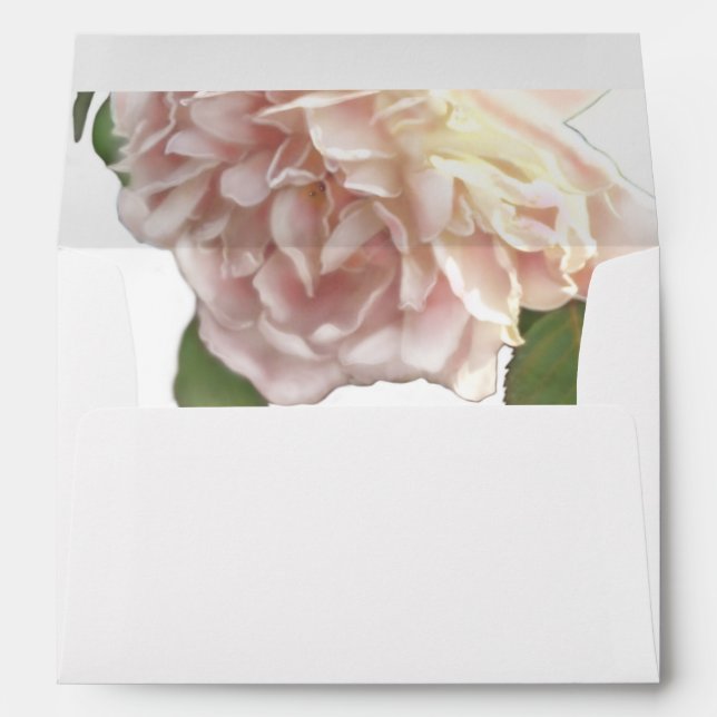Enveloppes Dusty Ivory Rose (Dos (Bas))
