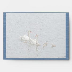 Enveloppes Famille Mute Swan
