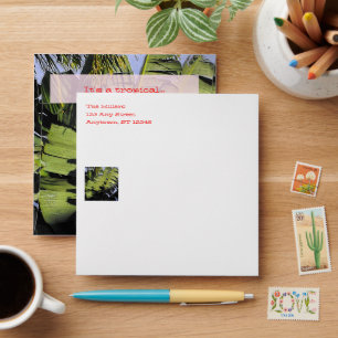 Enveloppes Feuilles tropicaux