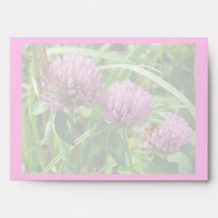 Enveloppes Fleur sauvage de trèfle rose - Trifolium pratense
