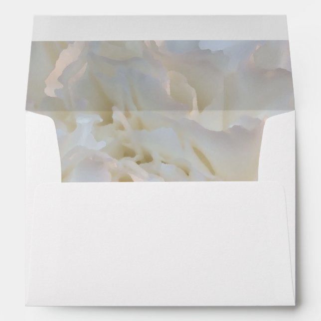 Enveloppes Flore de carnation blanche (Dos (Bas))