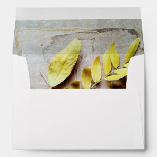 Enveloppes Herbier V