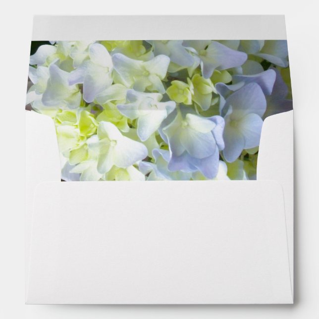 Enveloppes Hydrangée (Dos (Bas))