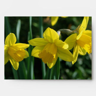 Enveloppes Jolies fleurs jaunes de jonquille