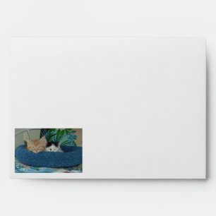 Enveloppes Kitty dormant/chat Tabby orange
