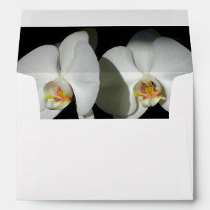 Enveloppes Orchidées blanches romantiques, photo florale trop