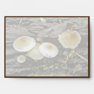 Enveloppes Petits Parasols Champignons en rondins