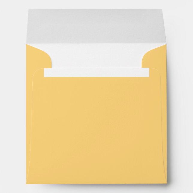 Enveloppes professionnelles (Dos (Bas))