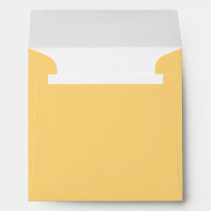 Enveloppes professionnelles