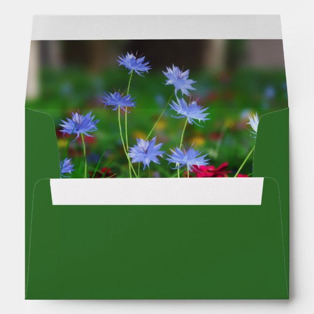 Enveloppes Resurger l'enveloppe (Dos (Bas))