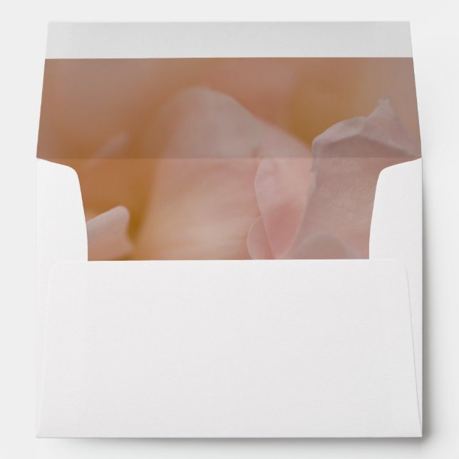 Enveloppes Rose rose pâle (Dos (Bas))