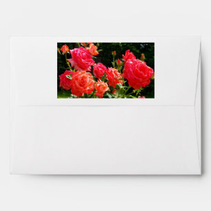 Enveloppes Roses de corail romantique