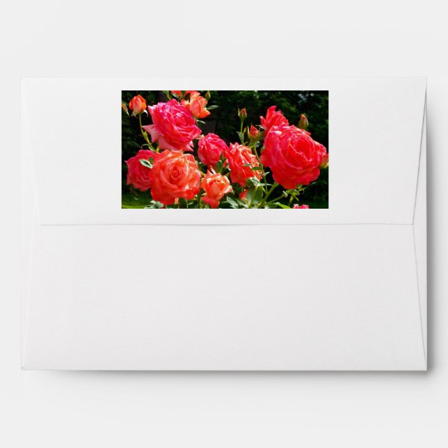 Enveloppes Roses de corail romantique (Dos (Haut rabat))