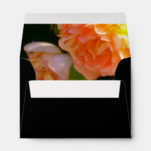 Enveloppes Roses de pêche par pays