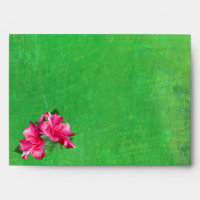 Enveloppes roses du vert A7 de la Reine de ketmie
