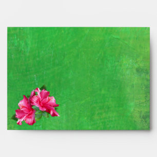 Enveloppes roses du vert A7 de la Reine de ketmie