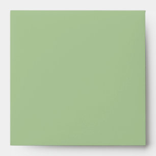 Enveloppes Sage Clover