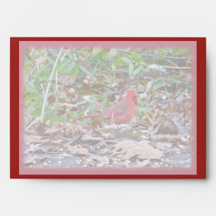Enveloppes Série sauvage cardinale d'oiseau chanteur