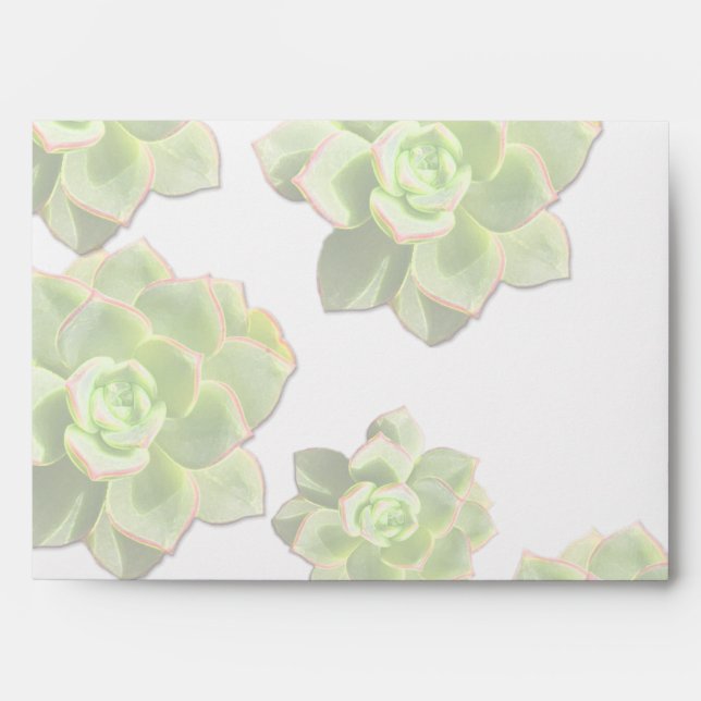 Enveloppes succulentes de poules vertes et de poul (Devant)
