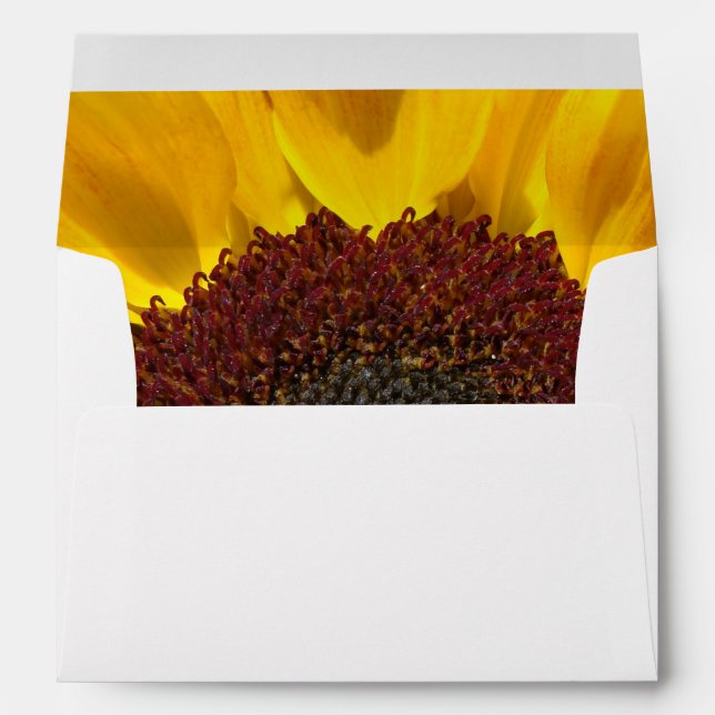 Enveloppes Sun Sunflower (Dos (Bas))
