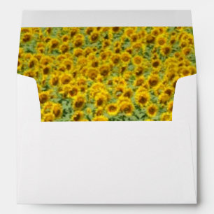 Enveloppes Terrain de tournesol jaune