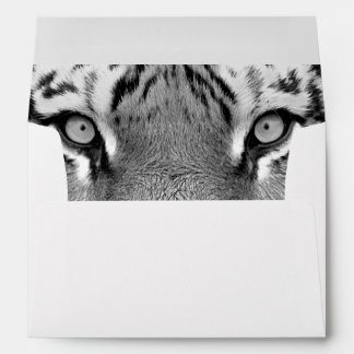 Enveloppes Tigre Amur #4