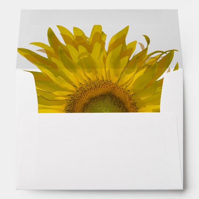 Enveloppes Tournesol jaune (Dos (Bas))