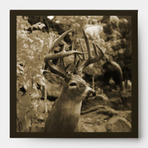 Enveloppes Trophée Deer