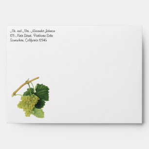 Enveloppes Vins blancs sur la vigne, fruits alimentaires Vint