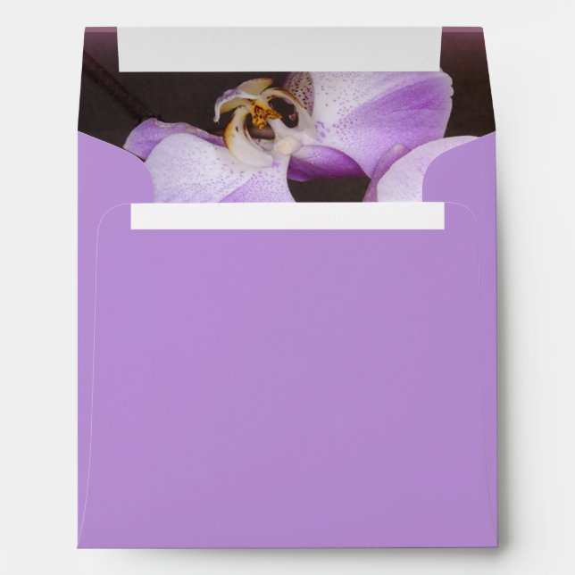 Enveloppes Violet et Orchidée blanche - photo de près (Dos (Bas))