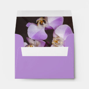 Enveloppes Violet et Orchidée blanche - photo de près