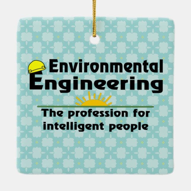 Environmental Engineering Genius Ceramic Ornament (Back)