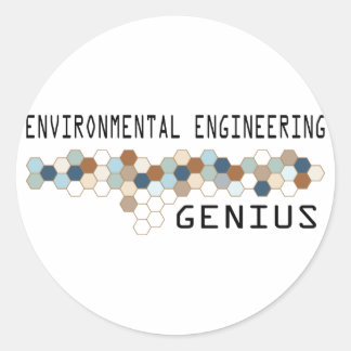 Environmental Engineering Genius Classic Round Sticker