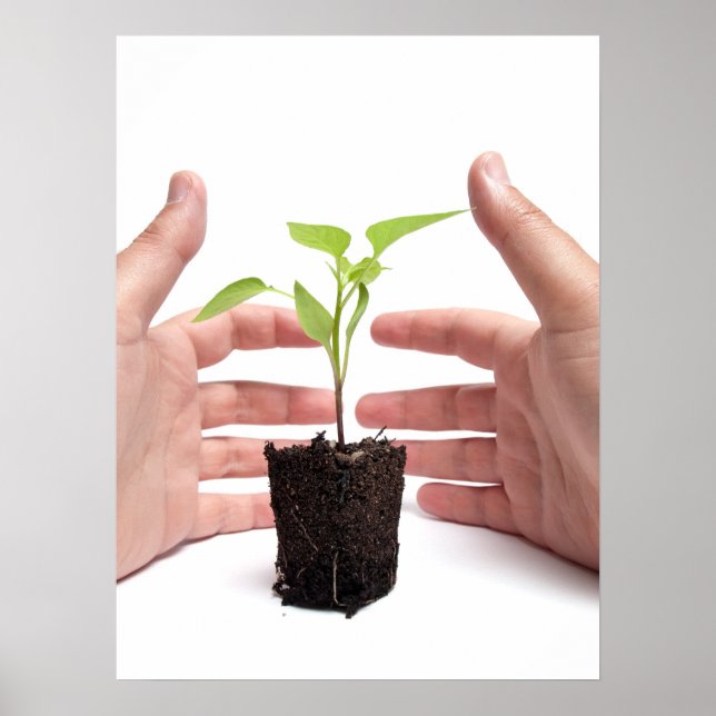 Environmental protection poster (Front)